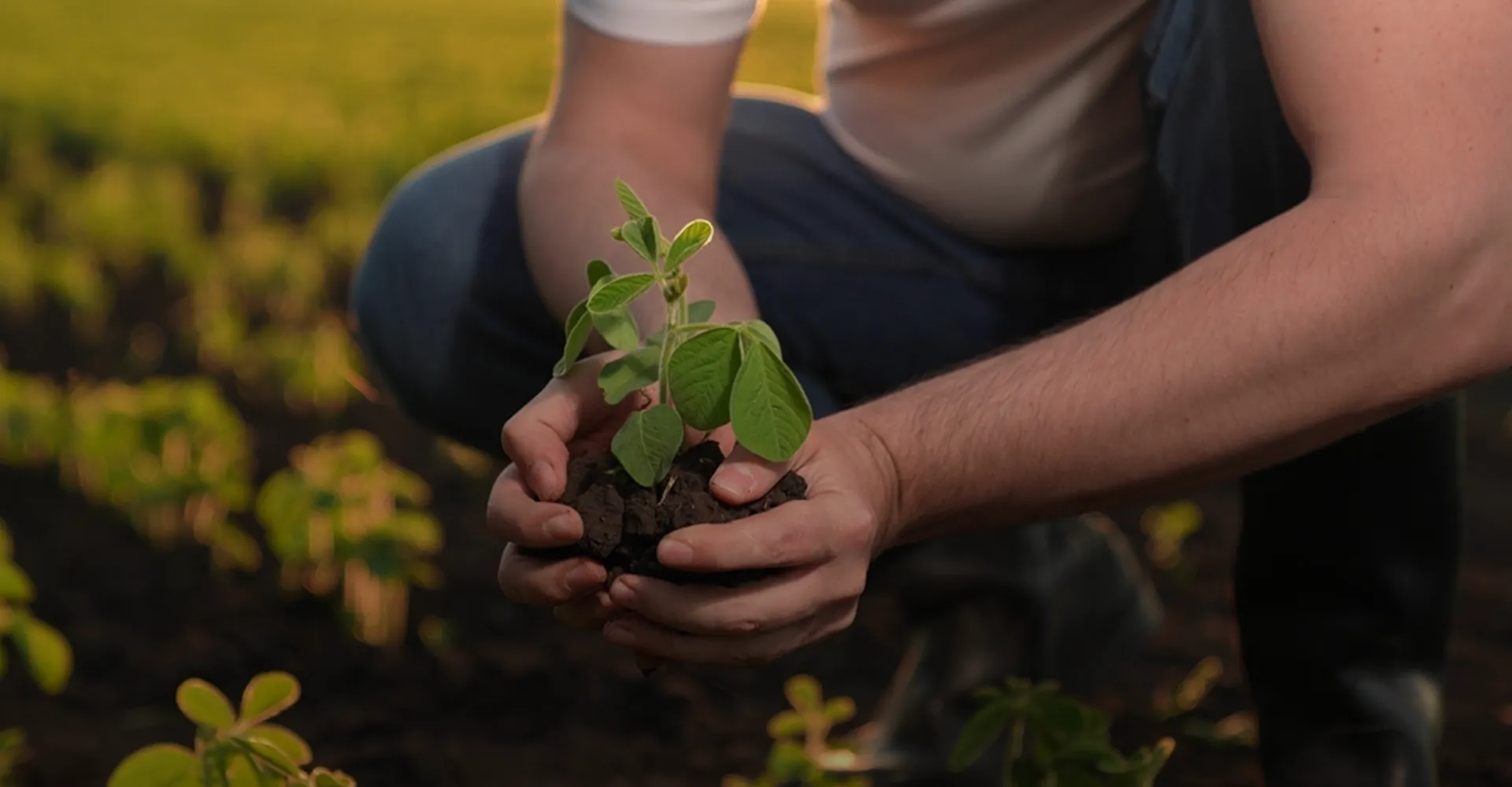 Vippy Industries milestones through the decades