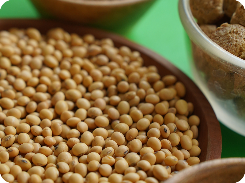 Vippy Industries manufacturing facility in Dewas, India