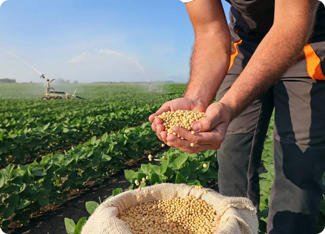 Vippy Industries quality certifications and global standards