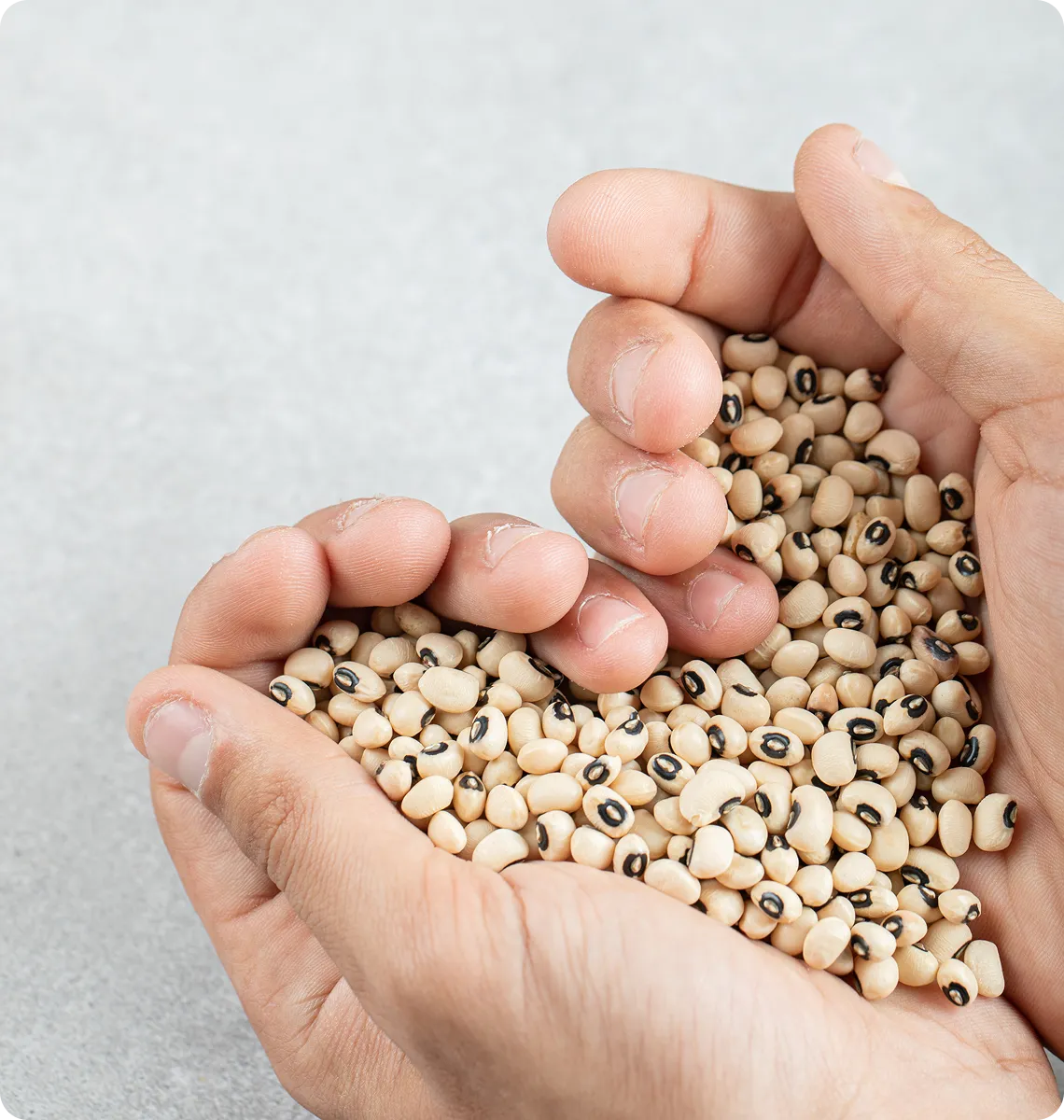 Vippy Industries workplace and career growth